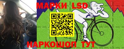 прущие крисы Будённовск