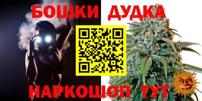 прущие крисы Будённовск