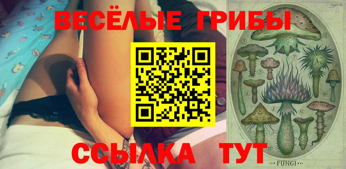 Королёв  Галлюциногенные грибы Psilocybine cubensis  Псилоцибиновые грибы мицелий  Вход с VPN 